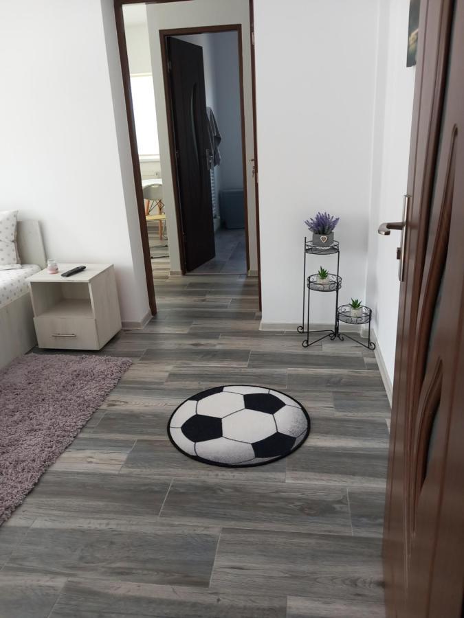 Dana Studio Tulcea Exterior foto